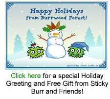 Sticky Burr Holiday Greeting